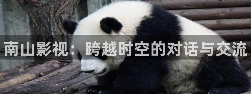 6080新视觉日韩：南山影视：跨越时空的对话与交流