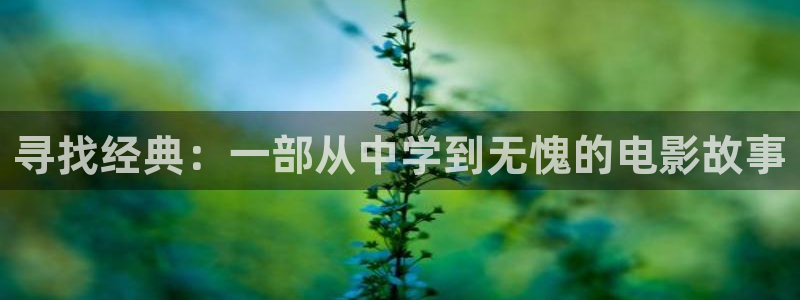 4080新视觉电影理论电视剧免费观看