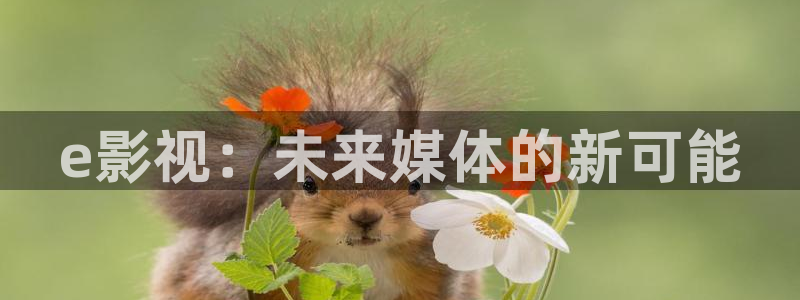 新视觉光电科技有限公司