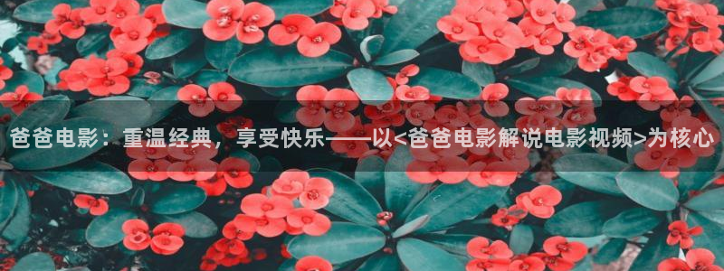yy6680新视觉