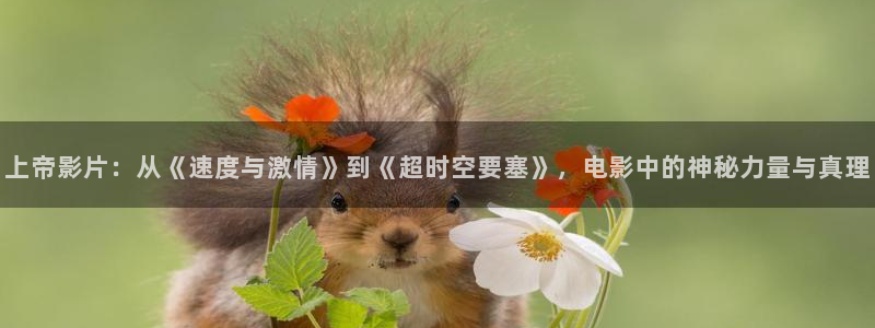 8090新视觉高清电影在线看
