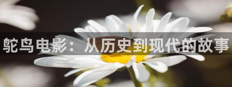 4480新视觉影院青苹果