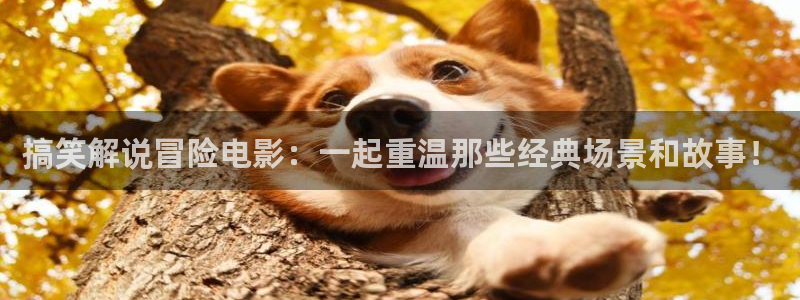 未来影院新视觉