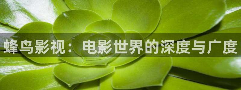 新视觉yy6094高清电视剧在线