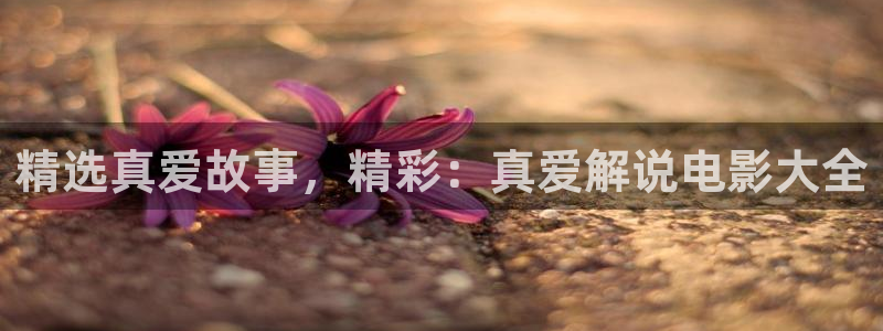 yy4138新视觉电视剧在线观看