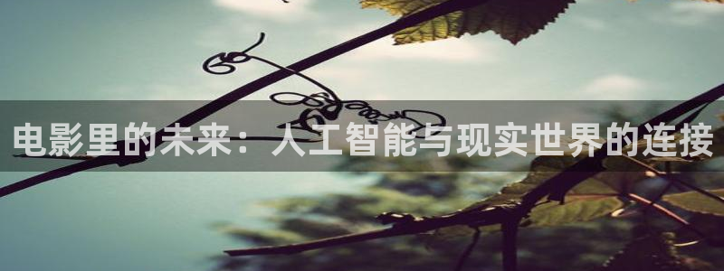 新视觉6080电视剧在线观看