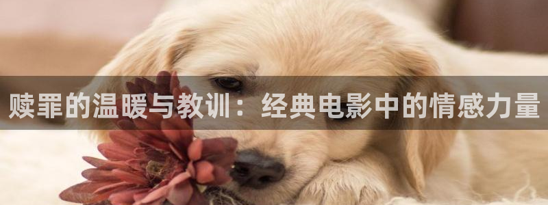 新视觉学校