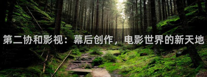 新视觉yy6080影院