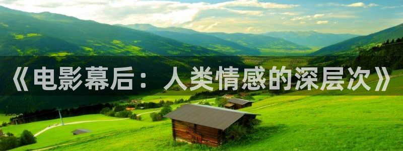 新视觉学校