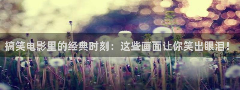 新视觉实训