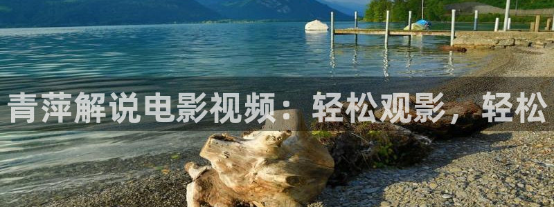 新视觉理论电视剧全集