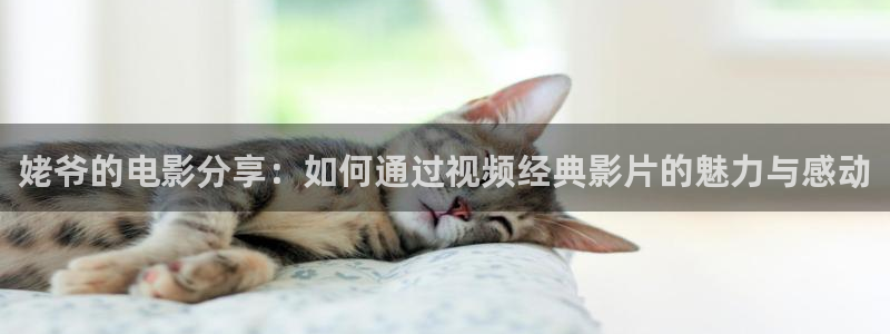新视觉新版