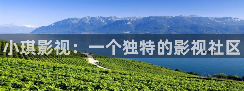 新视觉理论电视剧全集