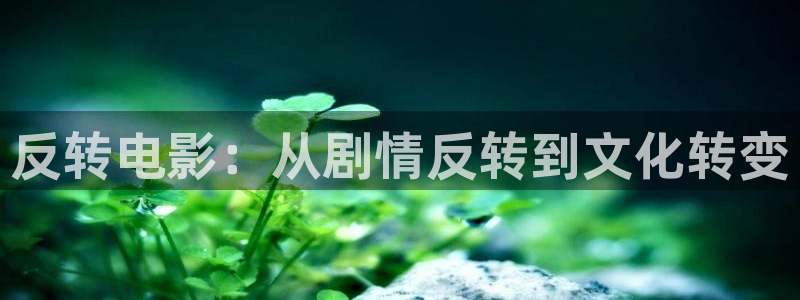 新视觉体育直播频道