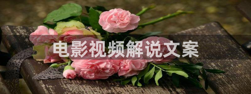 济南新视觉数码科技有限公司