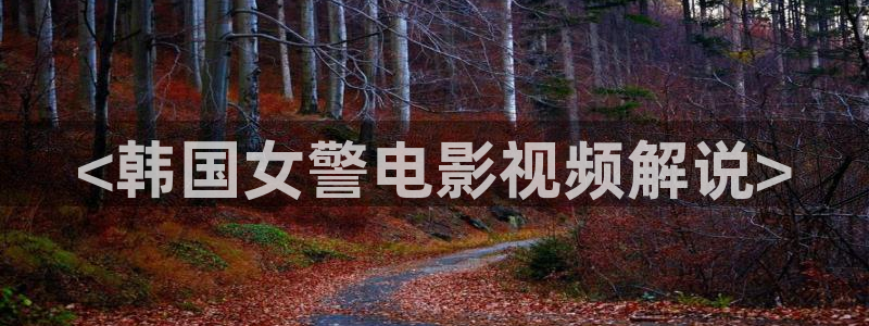 新视觉6080在线观看