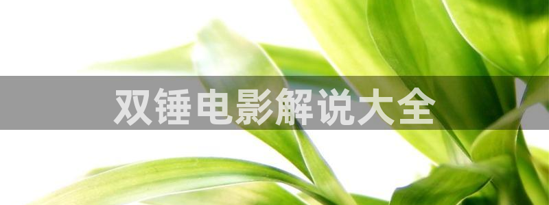 6080新视觉逗别看无敌马