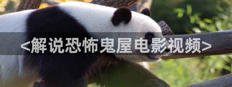 伦理新视觉：<解说恐怖鬼屋电影视频>