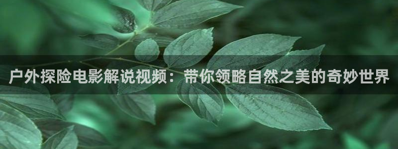 4480新视觉影视剧免费观看：户外探险电影解说视频：带你领略自然之美的奇妙世界