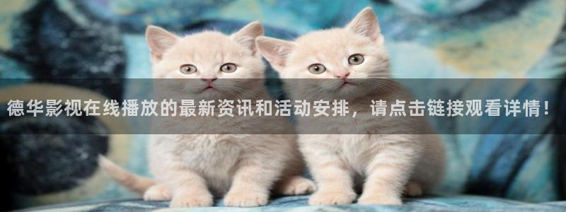 常州市新视觉印刷有限公司：德华影视在线播放的最新资讯和活动安排，请点击链接观看详情！
