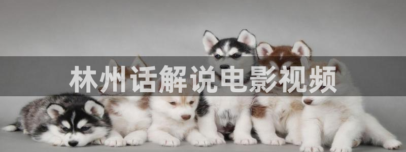 新视觉午夜影院：林州话解说电影视频