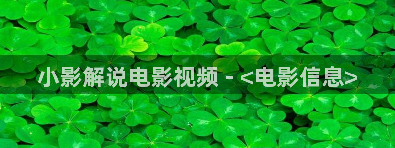 新视觉影院私人影院：小影解说电影视频 - <电影信息>