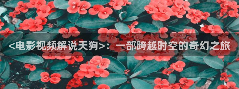 4080新视觉最新电视剧：<电影视频解说天狗>：一部跨越时空的奇幻之旅