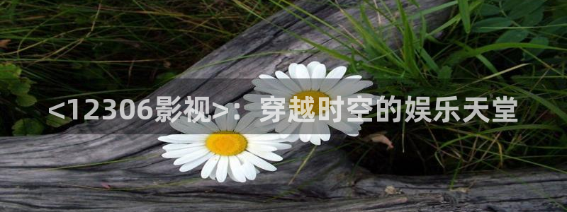 yy6080新视觉影院手机在线观看：<12306影视>：穿越时空的娱乐天堂