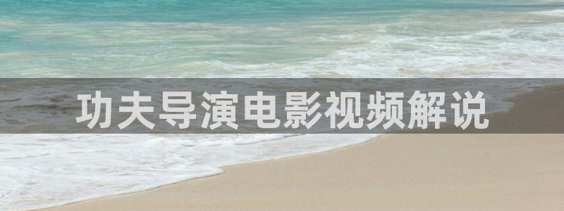 年轻的母亲新视觉：功夫导演电影视频解说