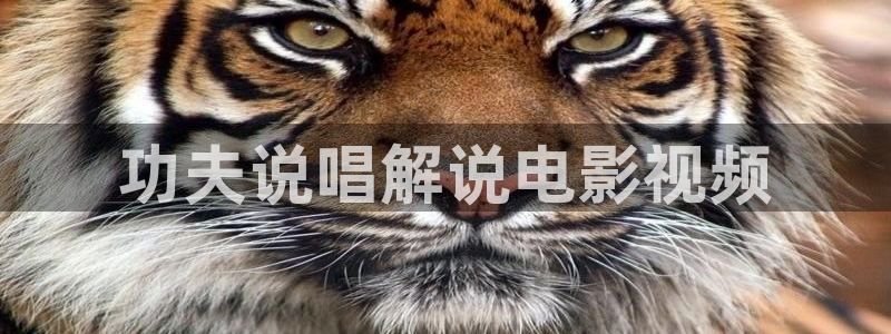 新视觉影视6080免费：功夫说唱解说电影视频