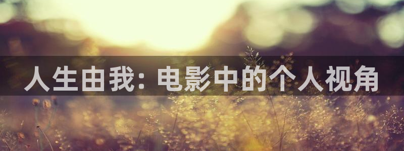 8090新视觉影视影院：人生由我: 电影中的个人视角