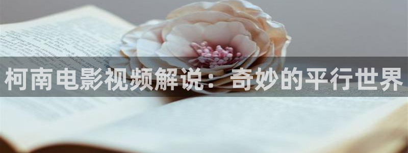 4480yy新视觉：柯南电影视频解说：奇妙的平行世界
