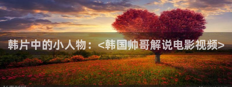 新视觉yy6080理论片：韩片中的小人物：<韩国帅哥解说电影视频>