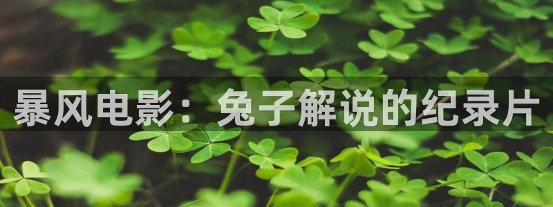 新视觉影院抢先看 秋霞