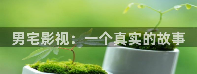 新视觉影院高清在线：男宅影视：一个真实的故事