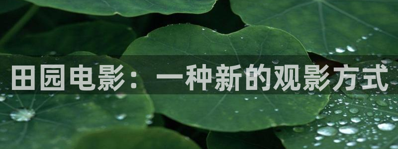 新视觉影院yy680：田园电影：一种新的观影方式