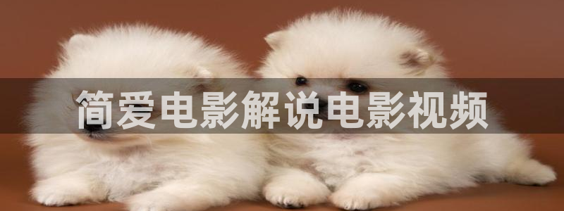新视觉影视官网：简爱电影解说电影视频