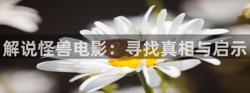 a4yy新视觉