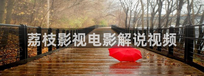 8090新视觉影视：荔枝影视电影解说视频