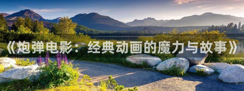 新视觉影院在线观看免费完整版：《炮弹电影：经典动画的魔力与故事》