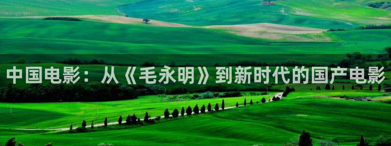 6080新视觉电影免费：中国电影：从《毛永明》到新时代的国产电影