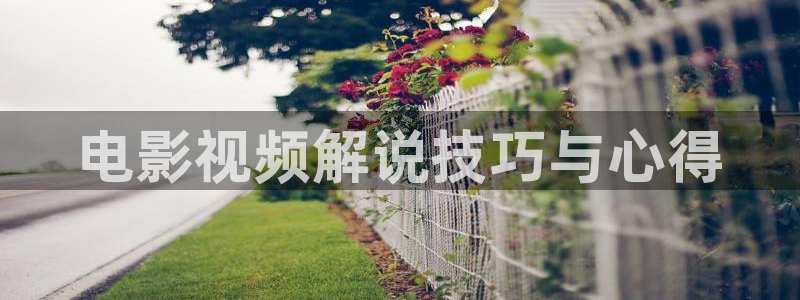 新视觉陈列：电影视频解说技巧与心得