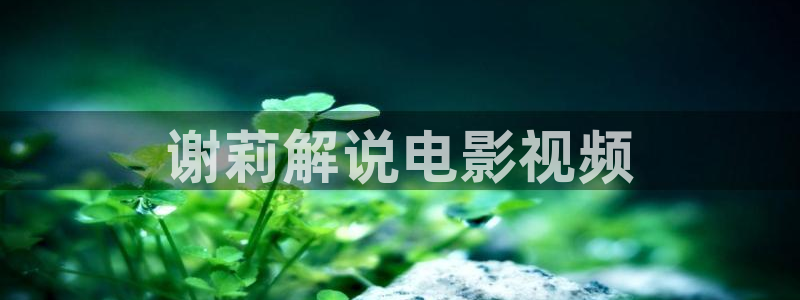 新视觉在线观看电视剧：谢莉解说电影视频