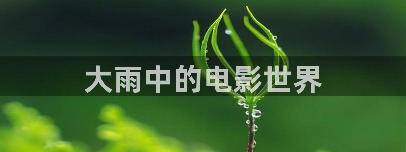 6080新视觉电影理论电视剧免费观看理：大雨中的电影世界