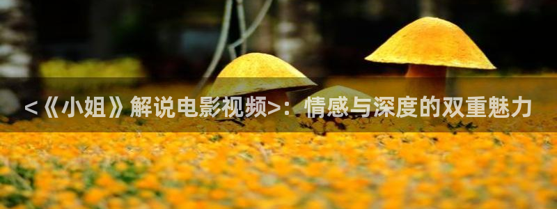 新视觉影院bd：<《小姐》解说电影视频>：情感与深度的双重魅力