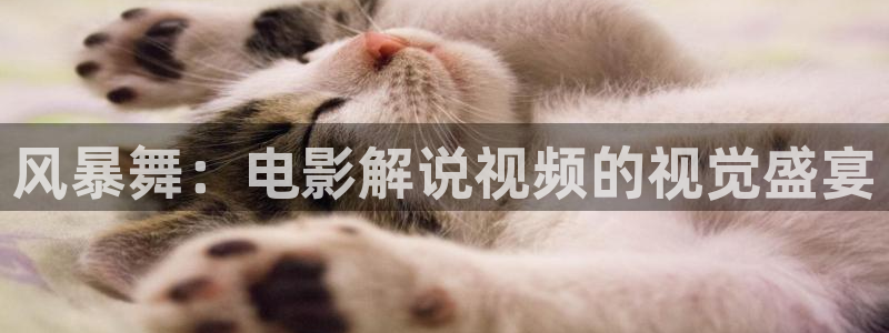 8090yy新视觉影院：风暴舞：电影解说视频的视觉盛宴