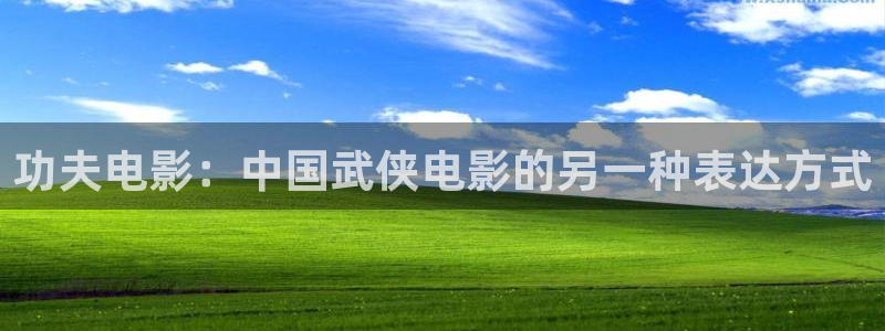 新视觉欧美：功夫电影：中国武侠电影的另一种表达方式