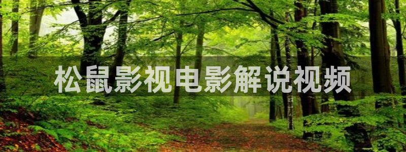 6090新视觉电视电影：松鼠影视电影解说视频