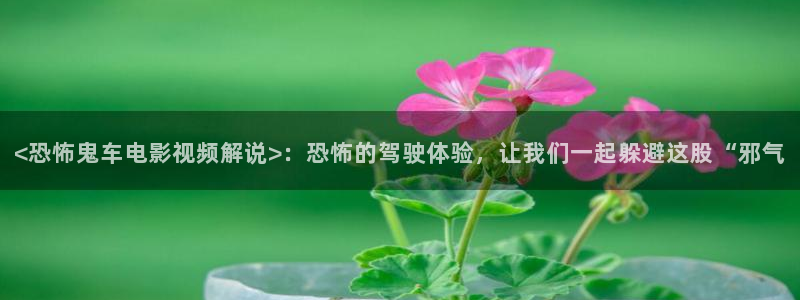 新视觉网