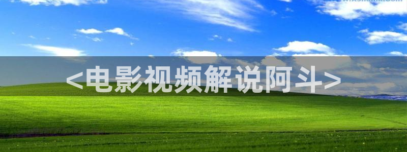 新视觉影视理论片